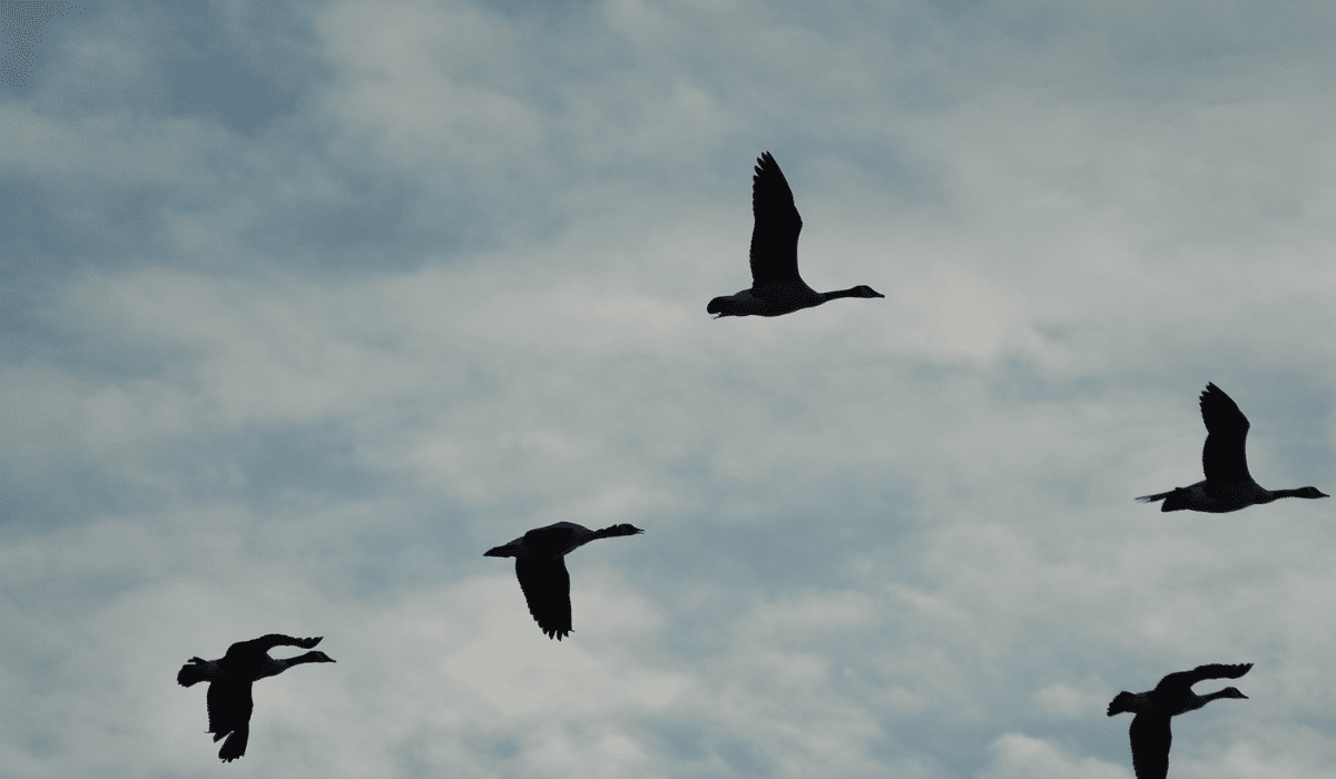 10 Tips for Migrating your CRM