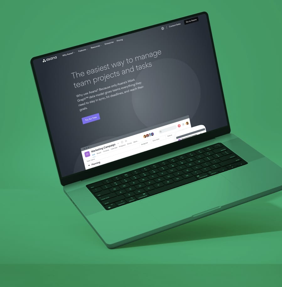 Asana website on laptop